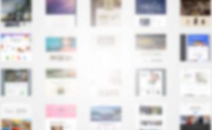 Adenvision websites